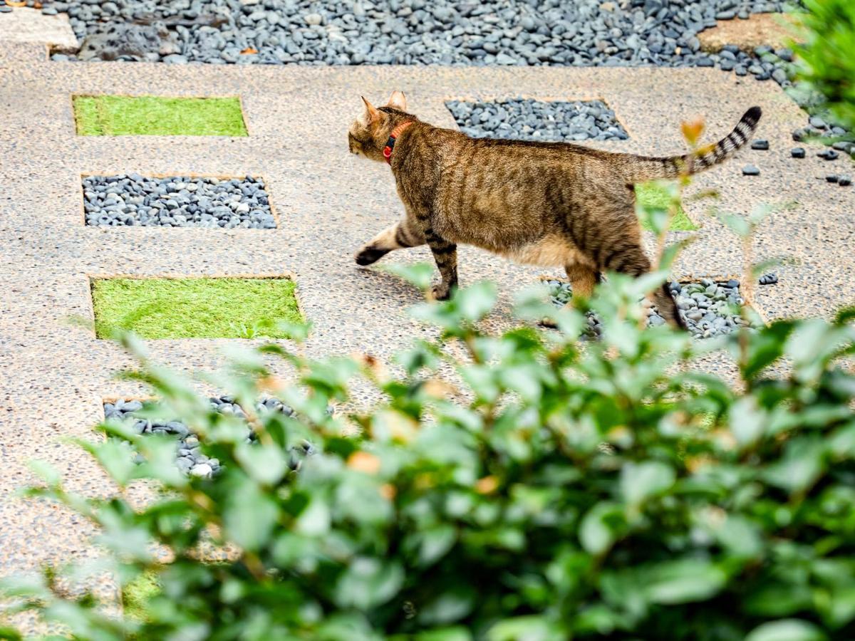 Udatsuya Osaka Exteriör bild